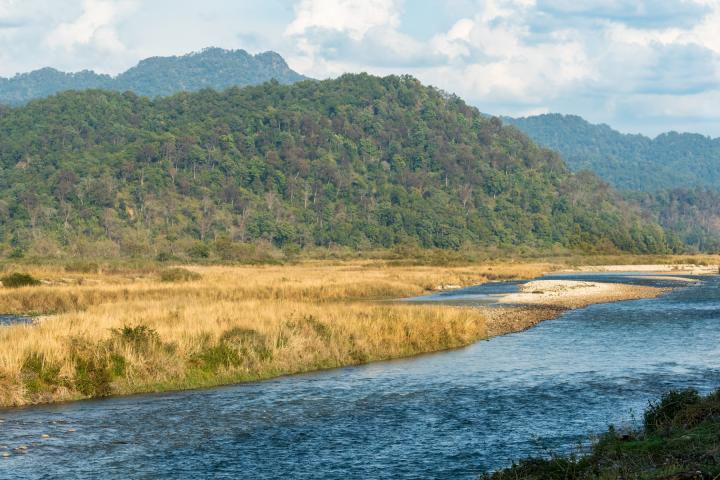 Jim Corbett National Park - Top 10 National Parks in India