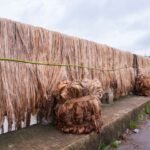 Top 10 Jute Producing States in India